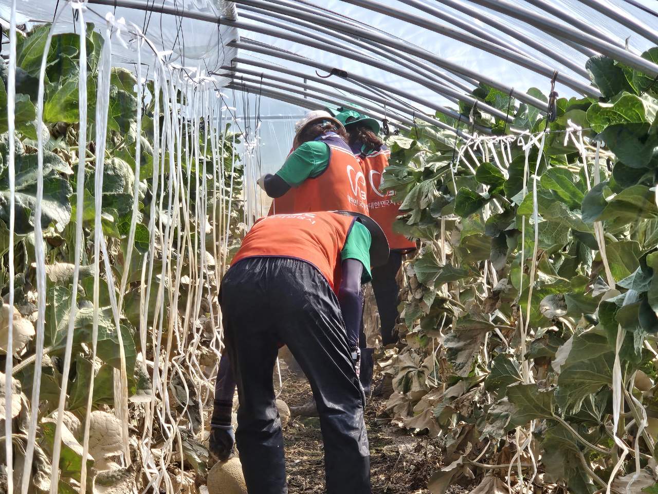 수해복구 봉사활동(250725) 썸네일